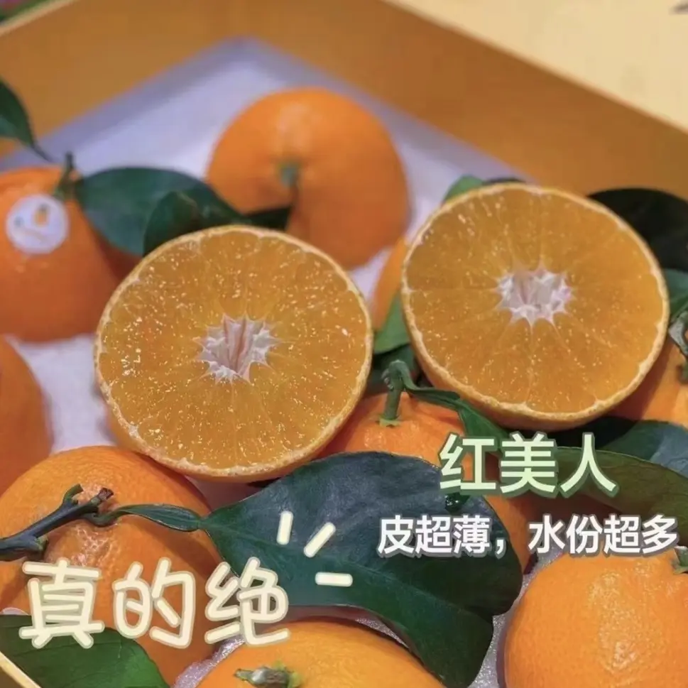 正宗红美人爱媛28号自家果园农家甜橙子现摘新鲜水果产地直发包邮