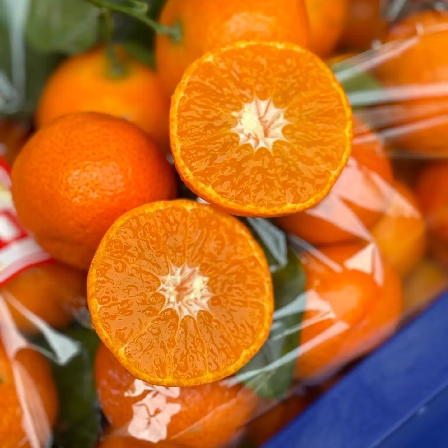 砂糖橘 新鲜水果
