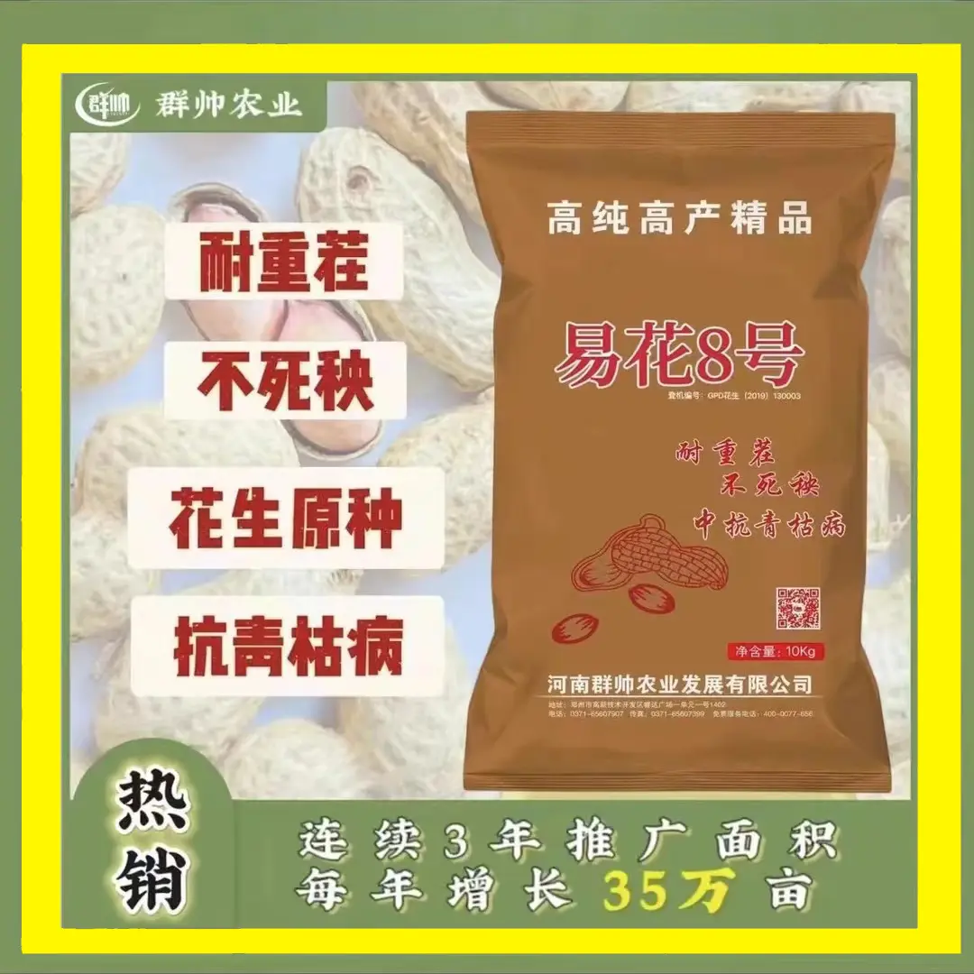 十袋装 五亩地-国审正品易花八号耐重茬不死秧抗青枯花生原种