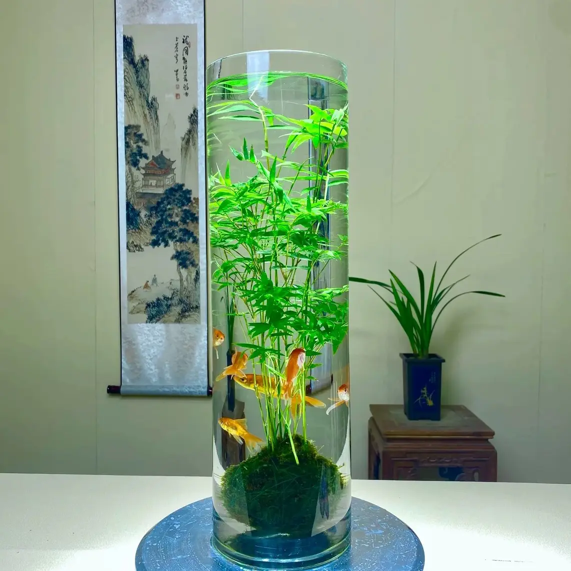 水培竹子室内客厅绿植盆栽茶室盆景好养耐寒