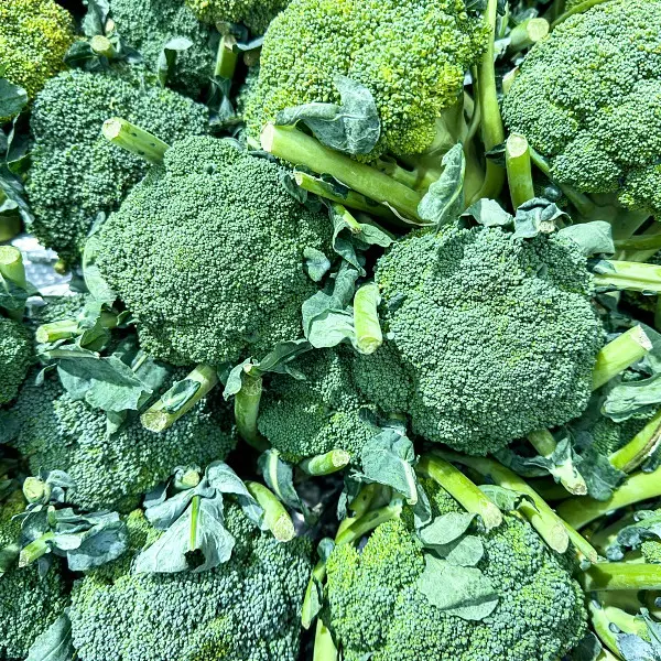 新鲜清甜露天种植西兰花现摘现发时令蔬菜