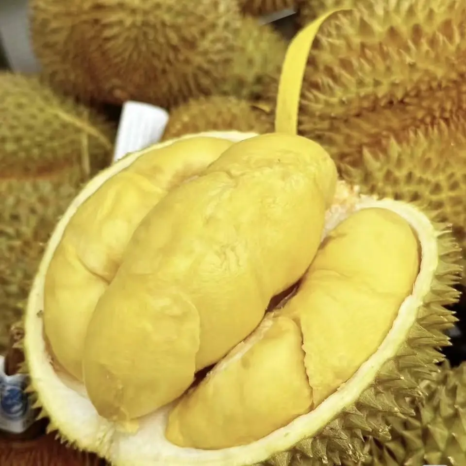 泰国树熟金枕榴莲A果包40%出肉率到家直接吃香甜软糯