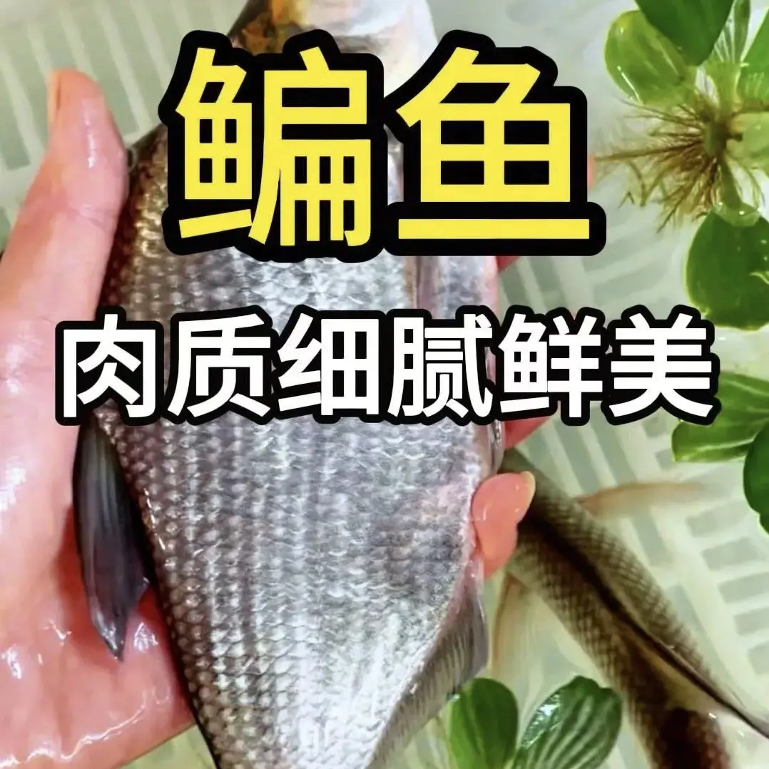 微山湖油炸野生鳊鱼，开袋即食，红烧清蒸最美味