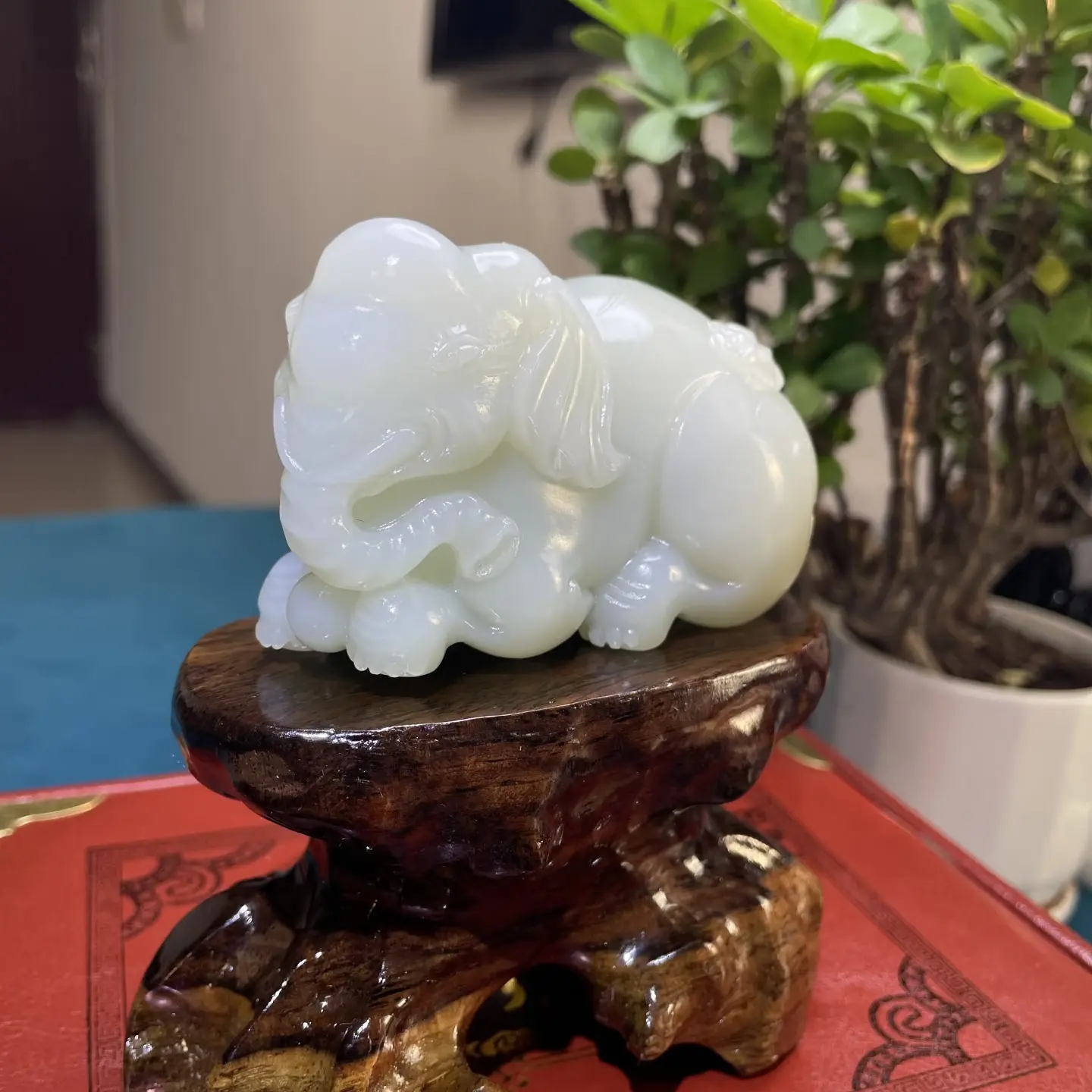 【玉汇千江】和田玉白玉大象摆件