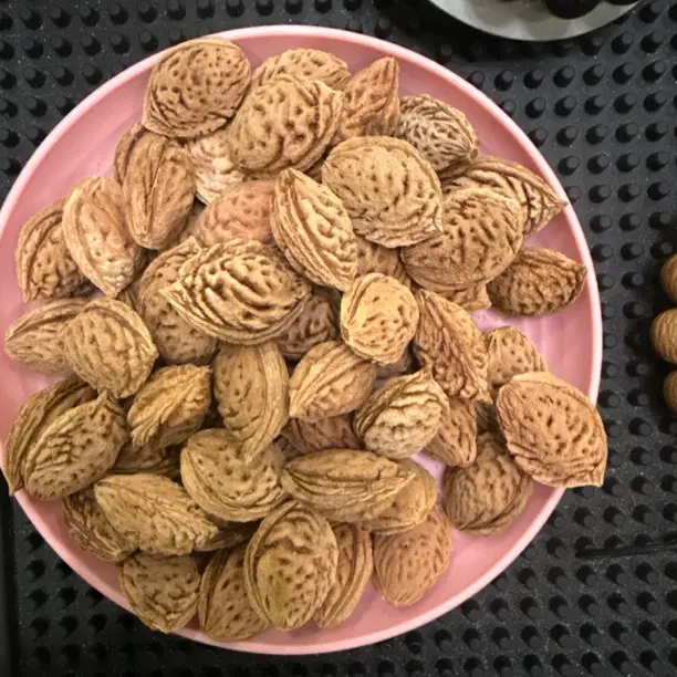 野生毛桃核雕刻料，纹理独特适合手工创作！标价为1颗