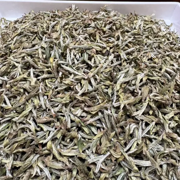 2022年炭焙荒野特级贡眉土菜茶磻溪高山白茶奶香花果香传统工艺