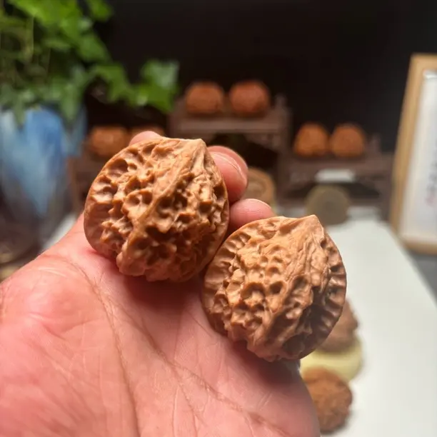 精品文玩核桃野生边肚37高39克重37+野生无名