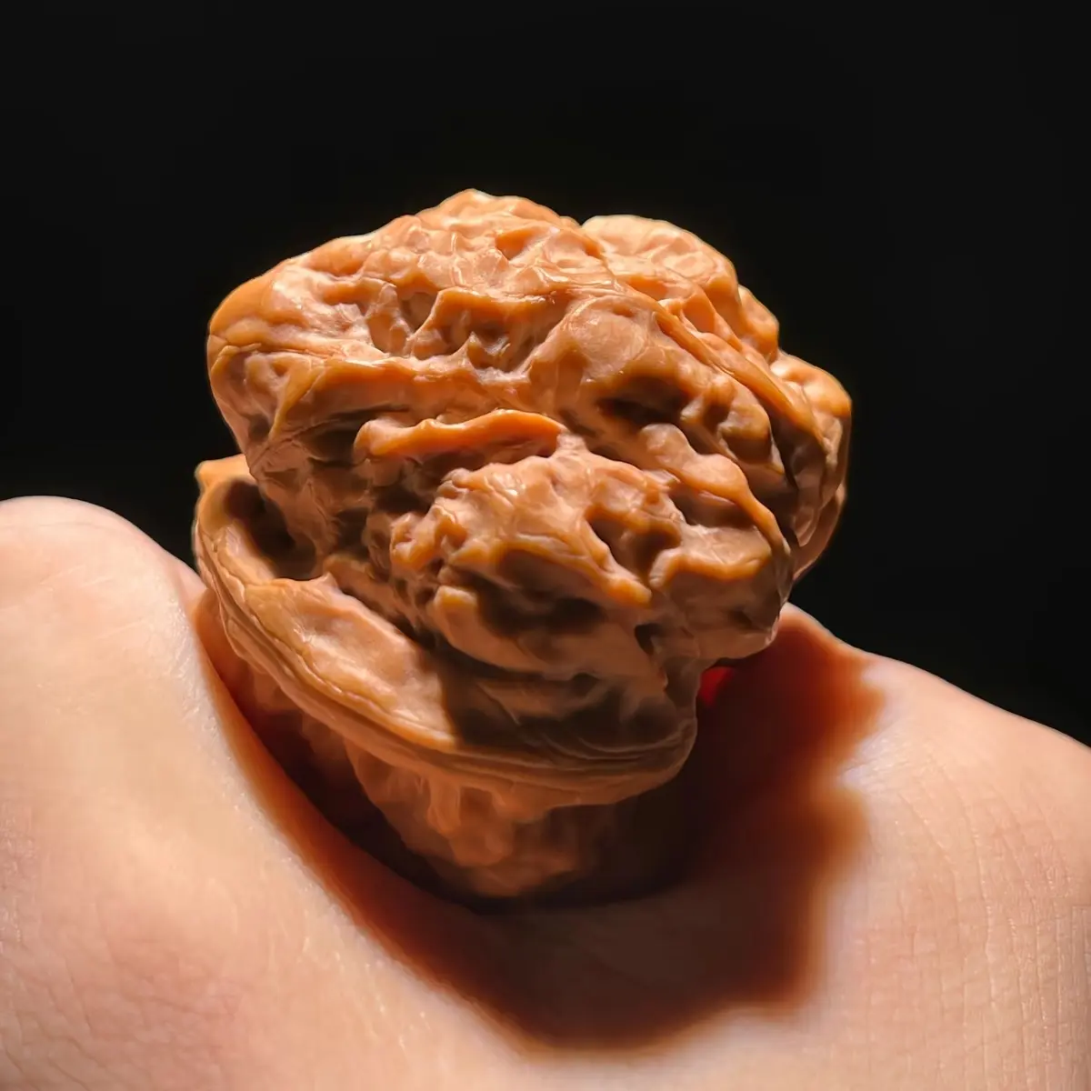 文玩核桃蛤蟆头狮子头延庆老树肌肉蛙把玩盘玩男士手玩麻核桃