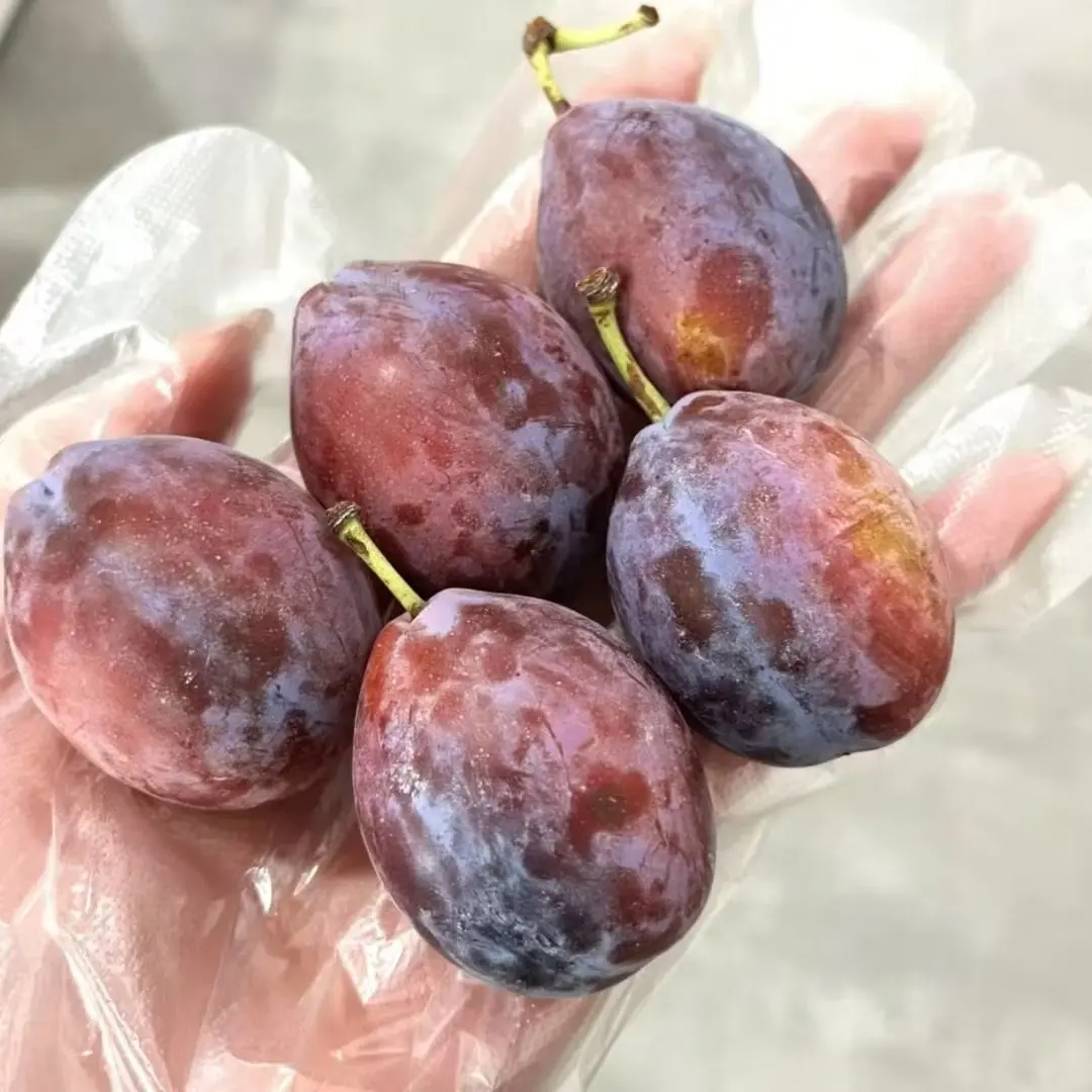 新鲜法兰西西梅新疆喀什1筐（4斤左右）