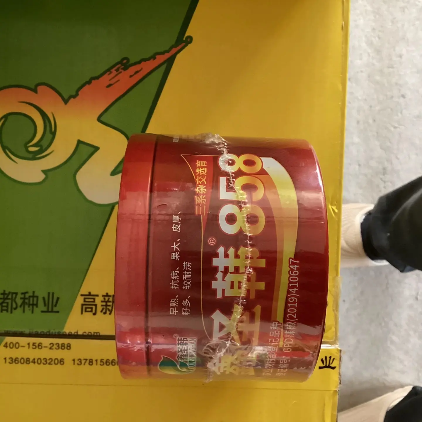 鑫圣韩858 辣椒种