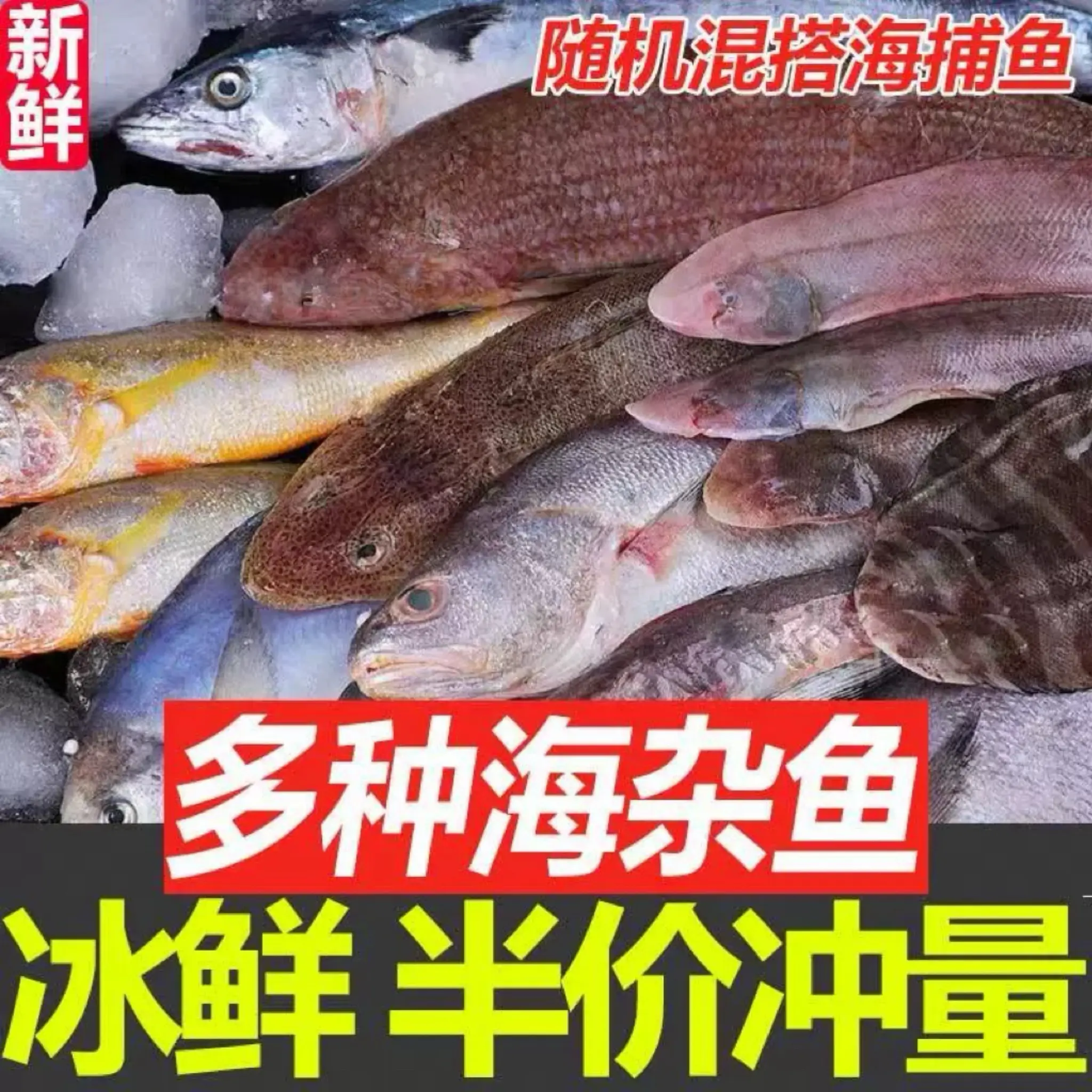 （斌哥）北海野生海捕海杂鱼肉质鲜嫩随机挑选冷冻锁鲜海鲜水产