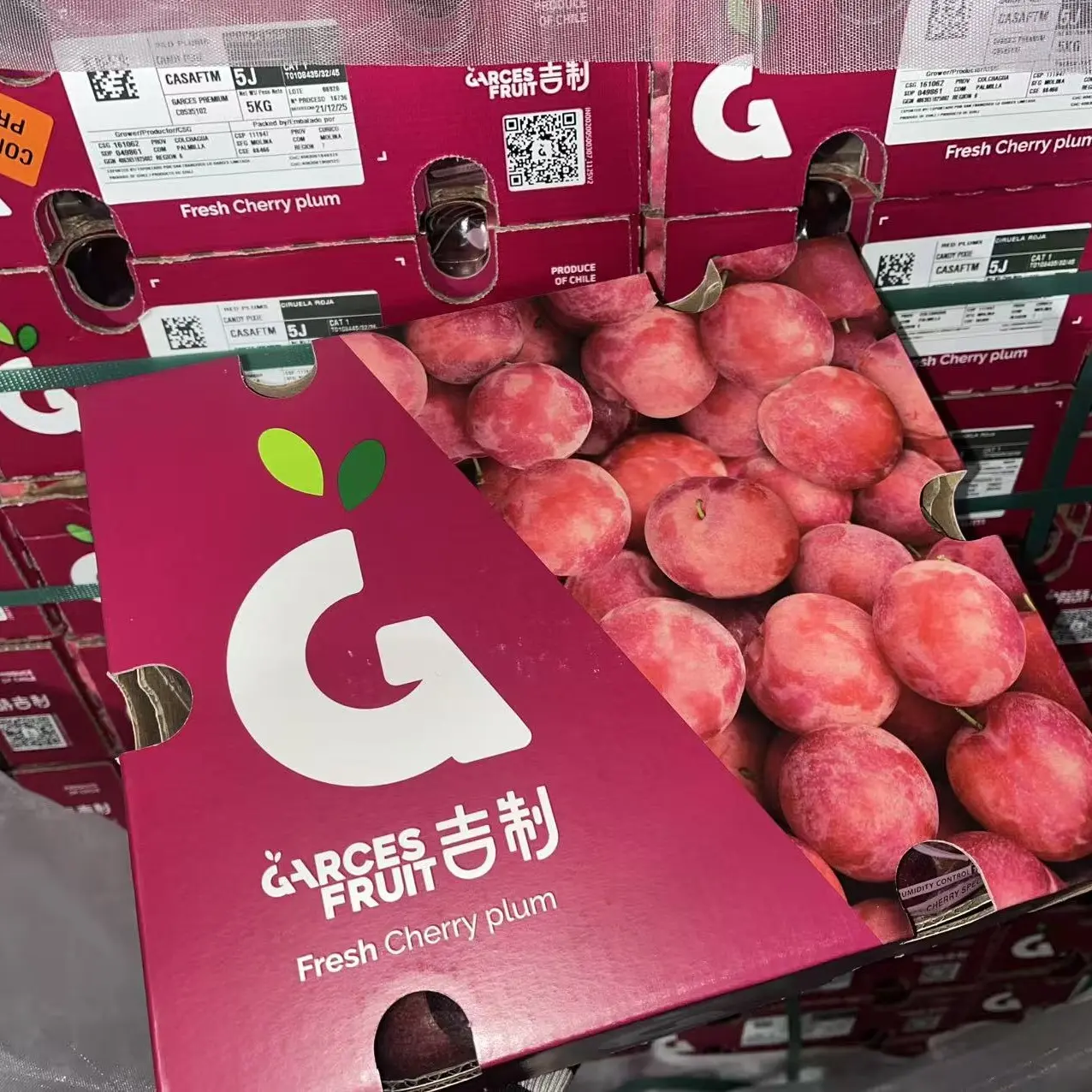 智利进口5J樱桃李果篮现货顺丰当日发次日达