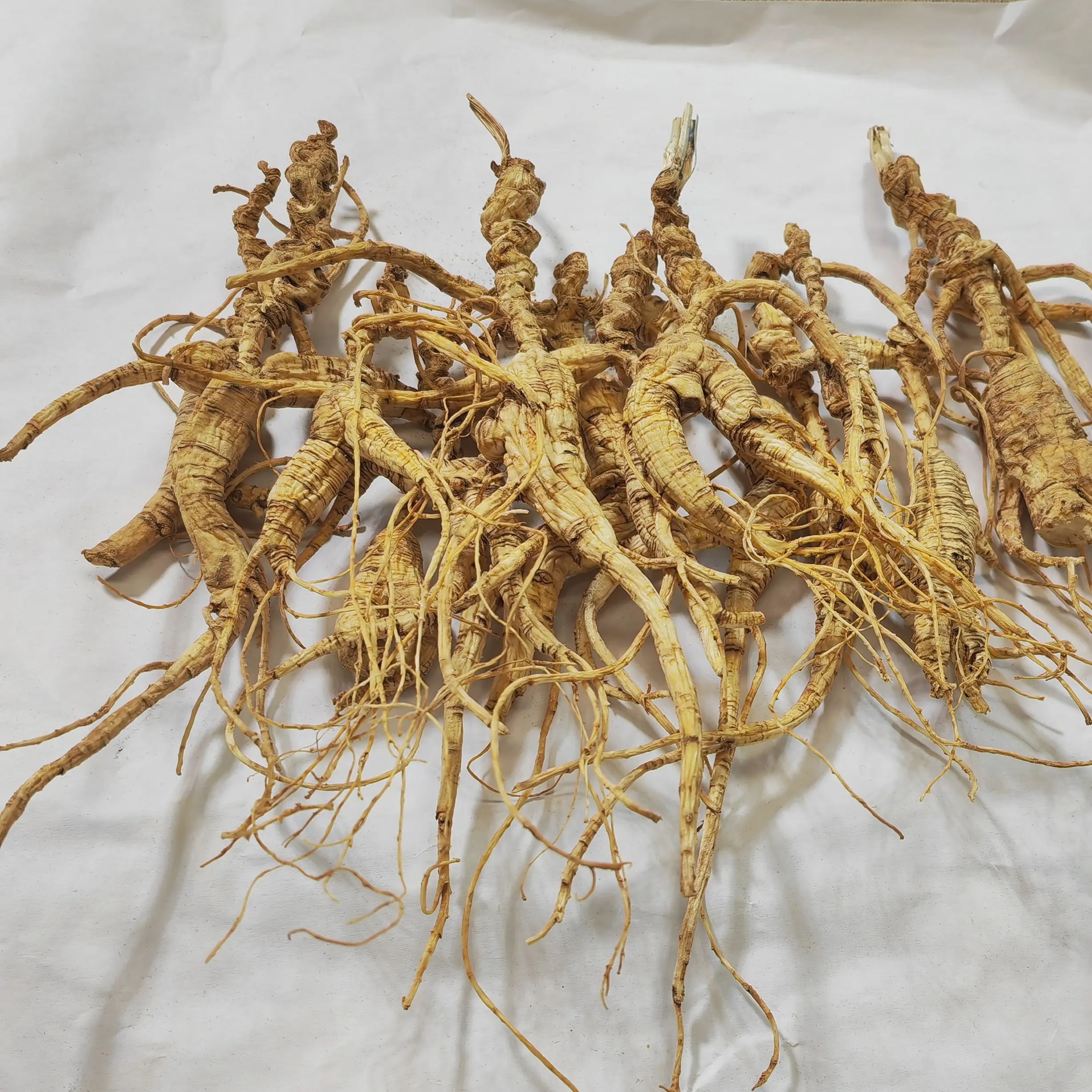 高年头长白山林下参干参可用于泡酒煲汤滋补佳品