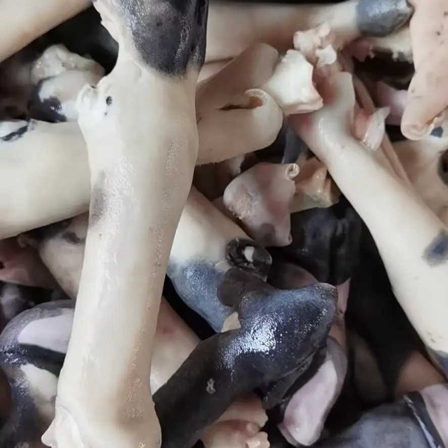 新鲜速冻带筋黑花羊蹄整只生鲜羊脚