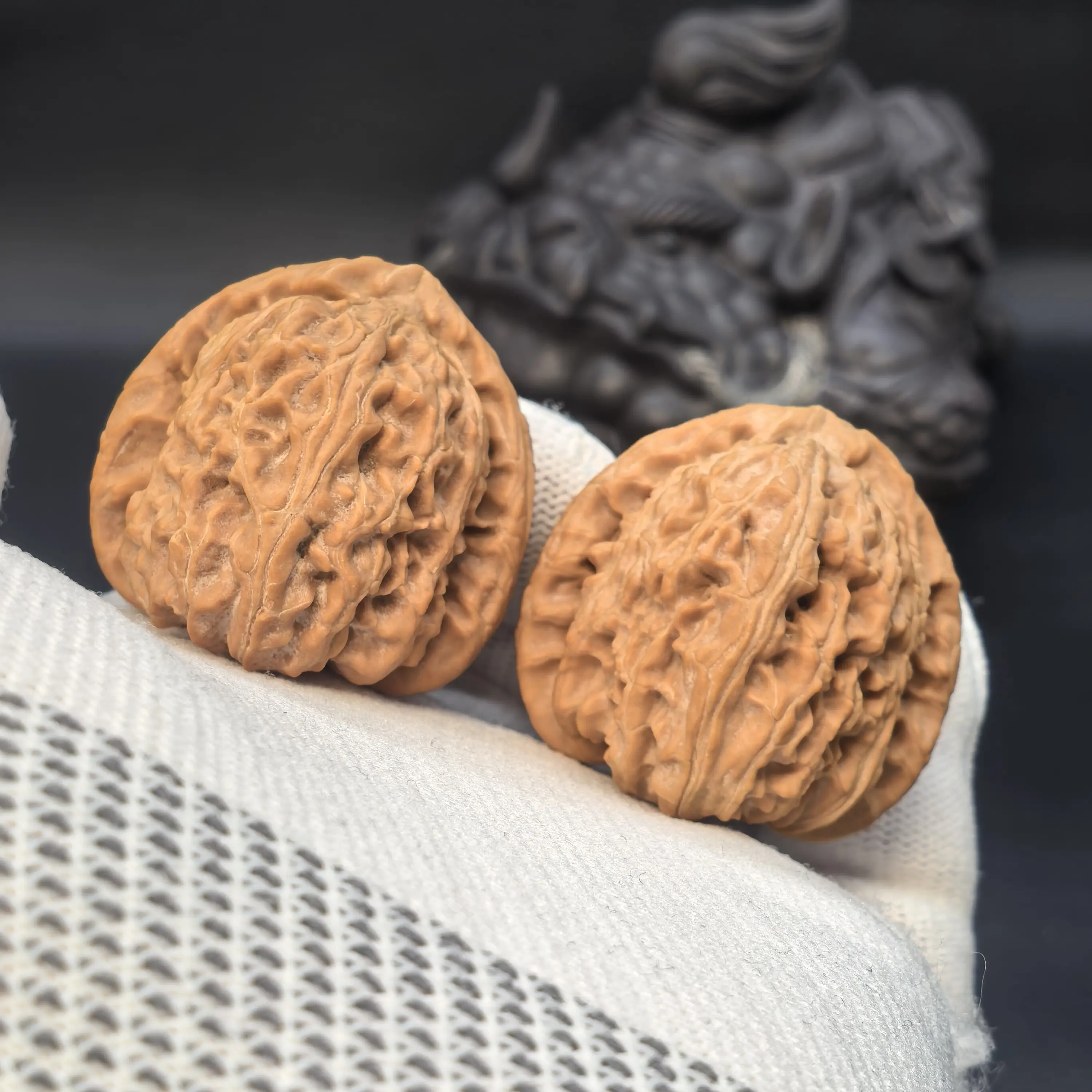 全品三角白36精品白狮子