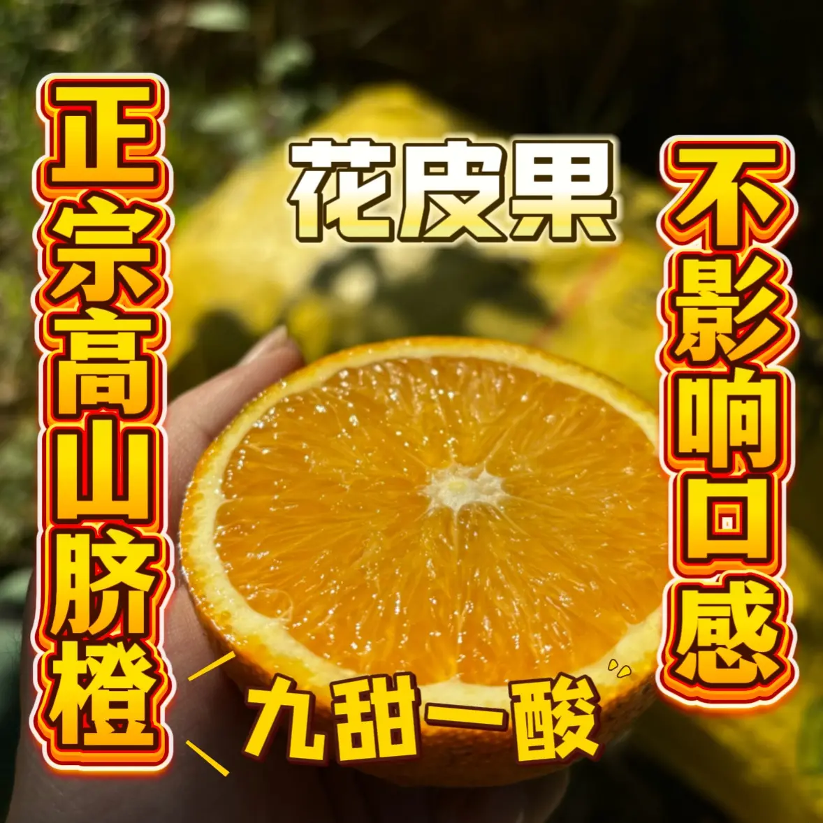 正宗高山肚脐橙花皮果九甜一酸自己吃不影响口感