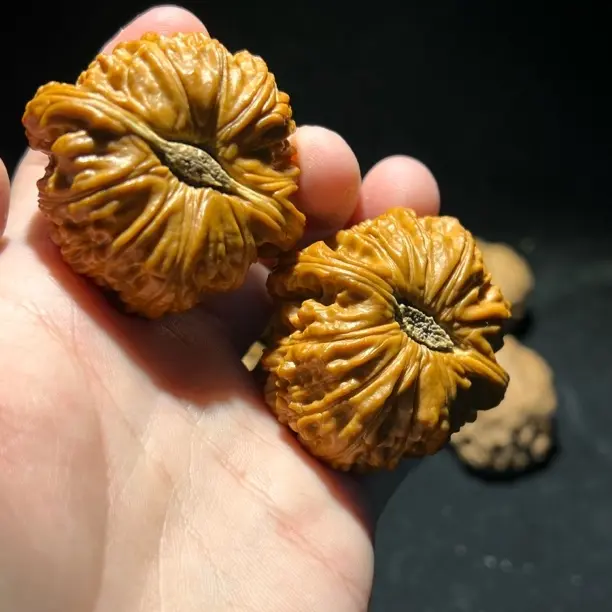 极品卡姿兰大眼白狮子，全品一刀没动文玩核手把件盘玩