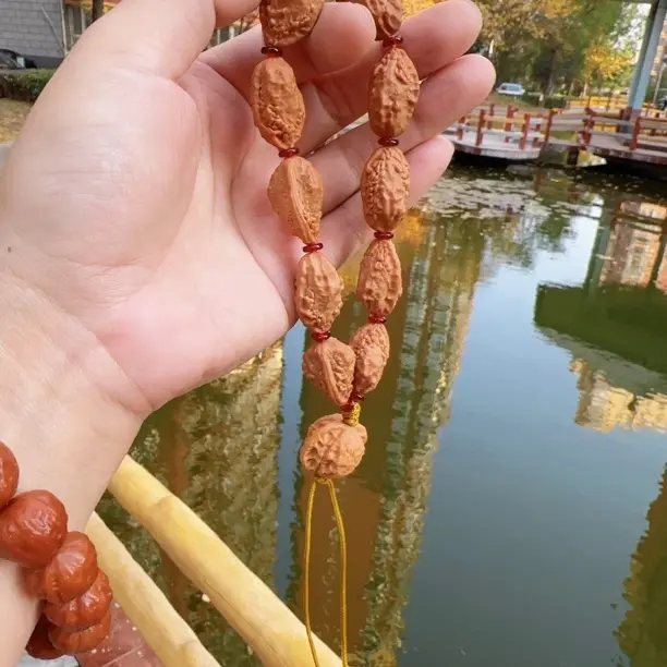 文玩小核桃麒麟角同树果边15