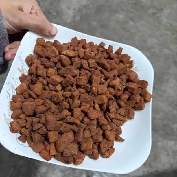 贵州特产脆哨土猪肉香酥脆哨软哨猪肉脯臊子