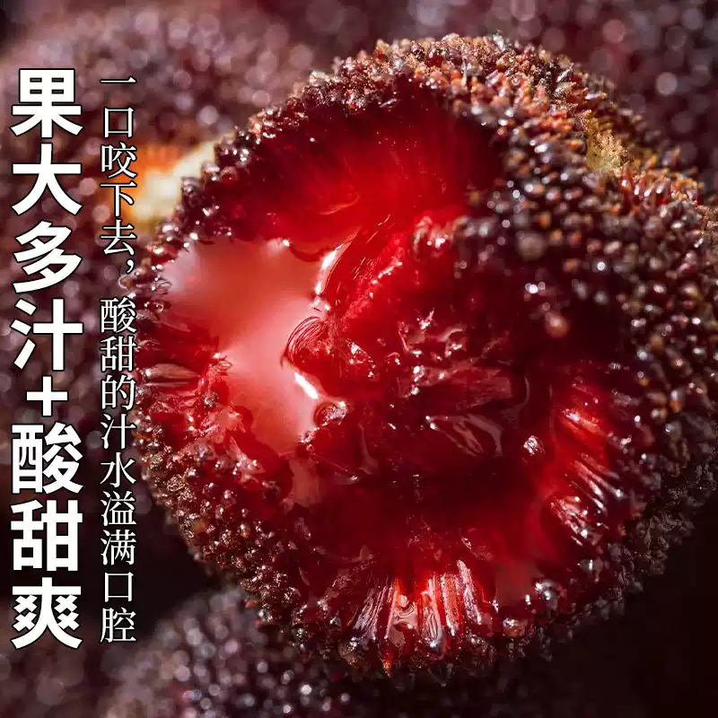 【六月上新】杨梅4盒装4斤装【次日达】新鲜杨梅杨梅同城送四川省