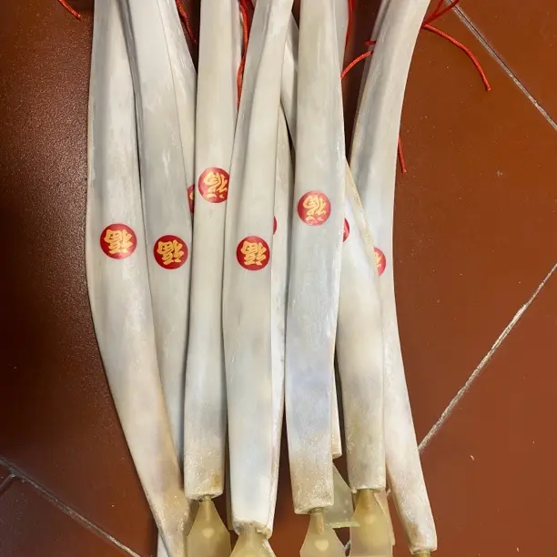 传统刮板(精品牛骨痒痒挠)颈部肩部背部腿部专用家用按摩（中号）