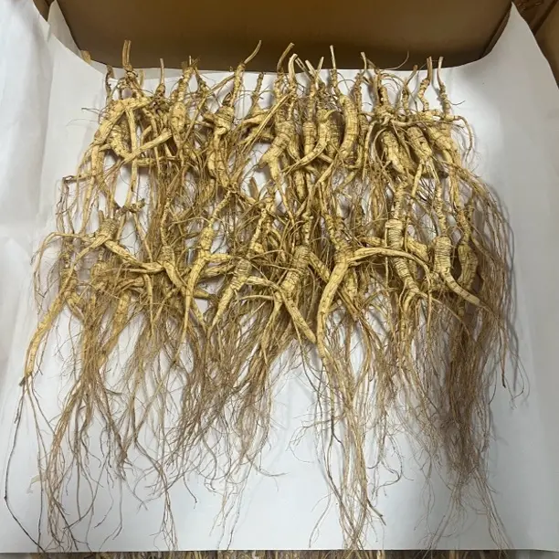 林下参 可泡酒泡茶煲汤 滋补佳品