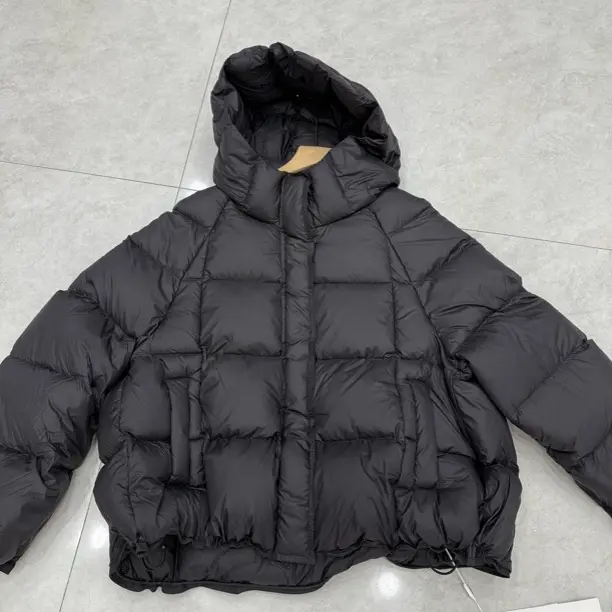 欧货冬季短款连帽鹅绒保暖时尚百搭小个子女士羽绒服