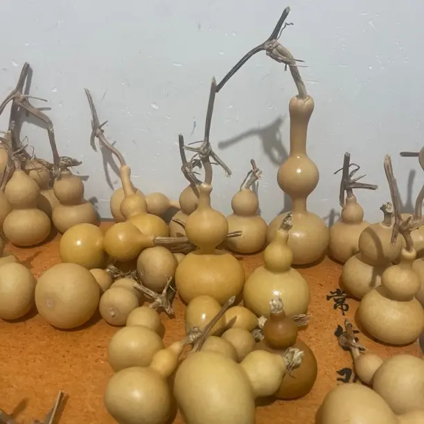 天然小葫芦手把件带龙头可盘玩文玩福禄葫芦优选手把小葫芦
