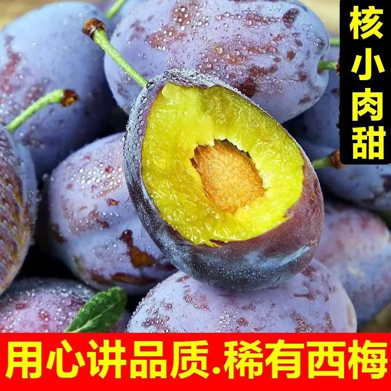 新疆西梅整框约4斤