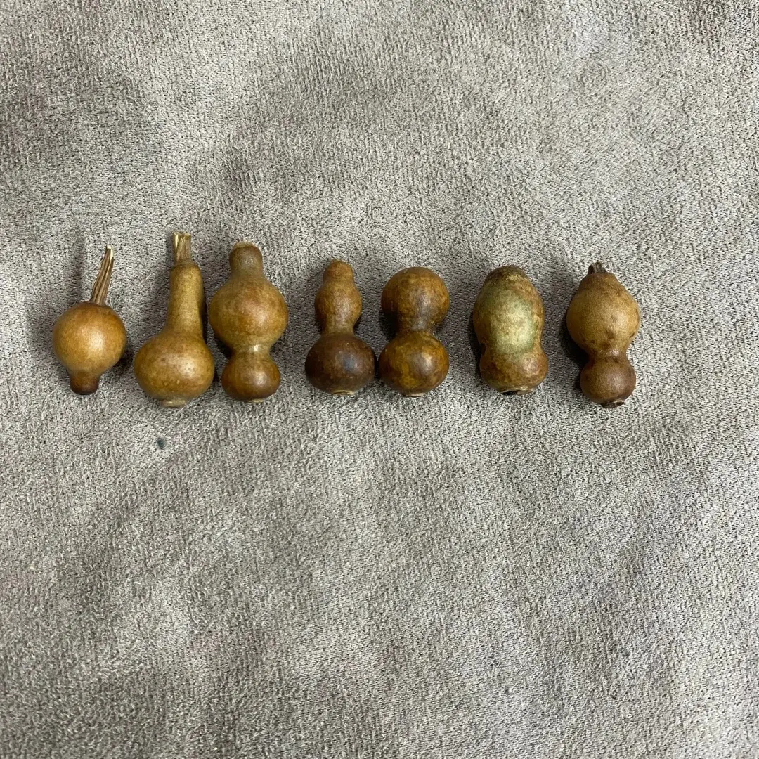 多宝花皮文玩葫芦小草里金可配串福禄葫芦7个