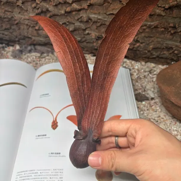 北欧风民宿咖啡厅样板房客厅装饰