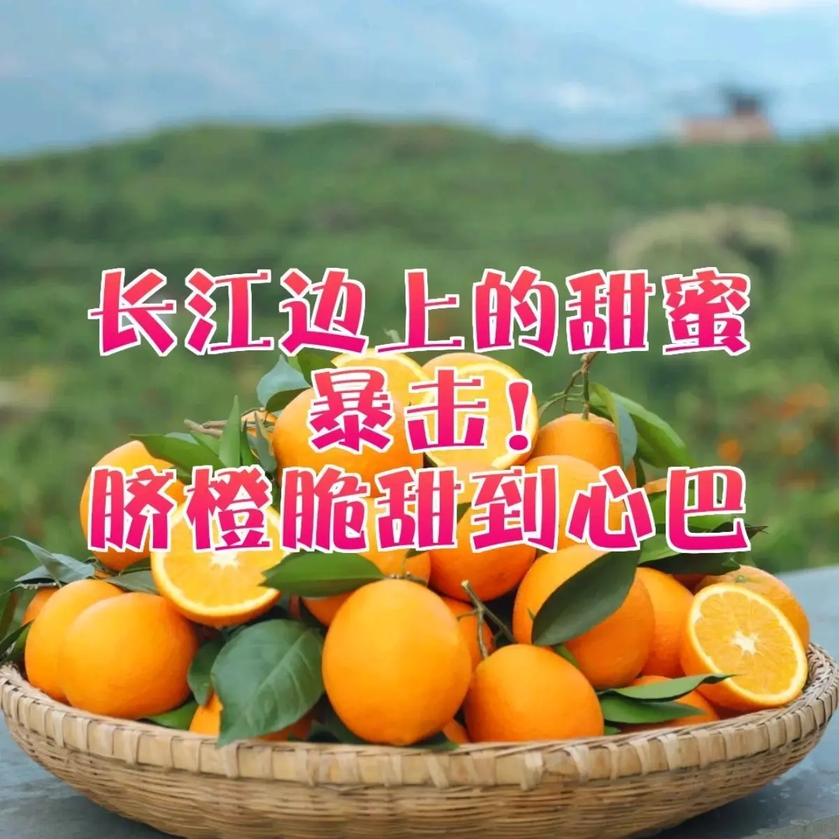 正宗湖北宜昌脐橙产地直发当季新鲜水果现摘香甜多汁手剥橙子