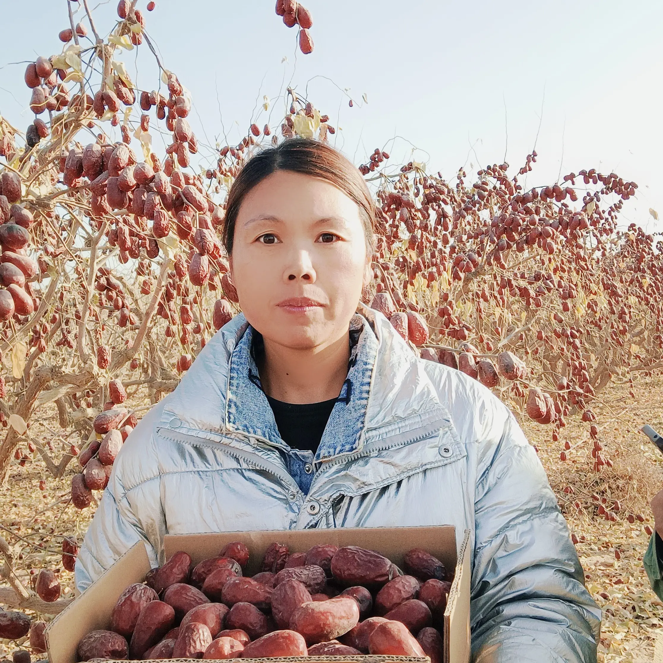 2025年新疆原生态和田大枣一二级精品产地直发包邮