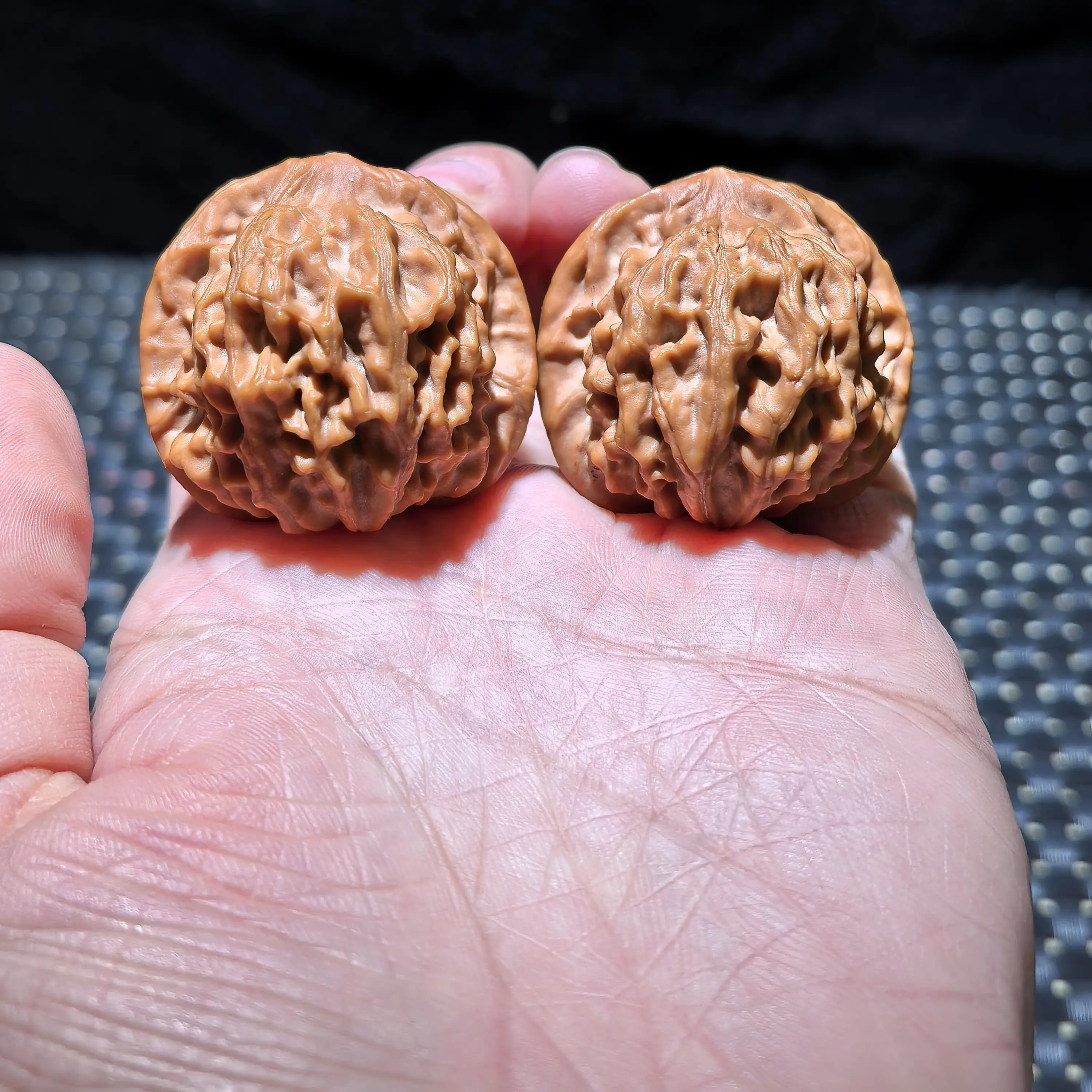 天地狮子头，奶油蜡皮，边肚高38/36/35全品无刀井38