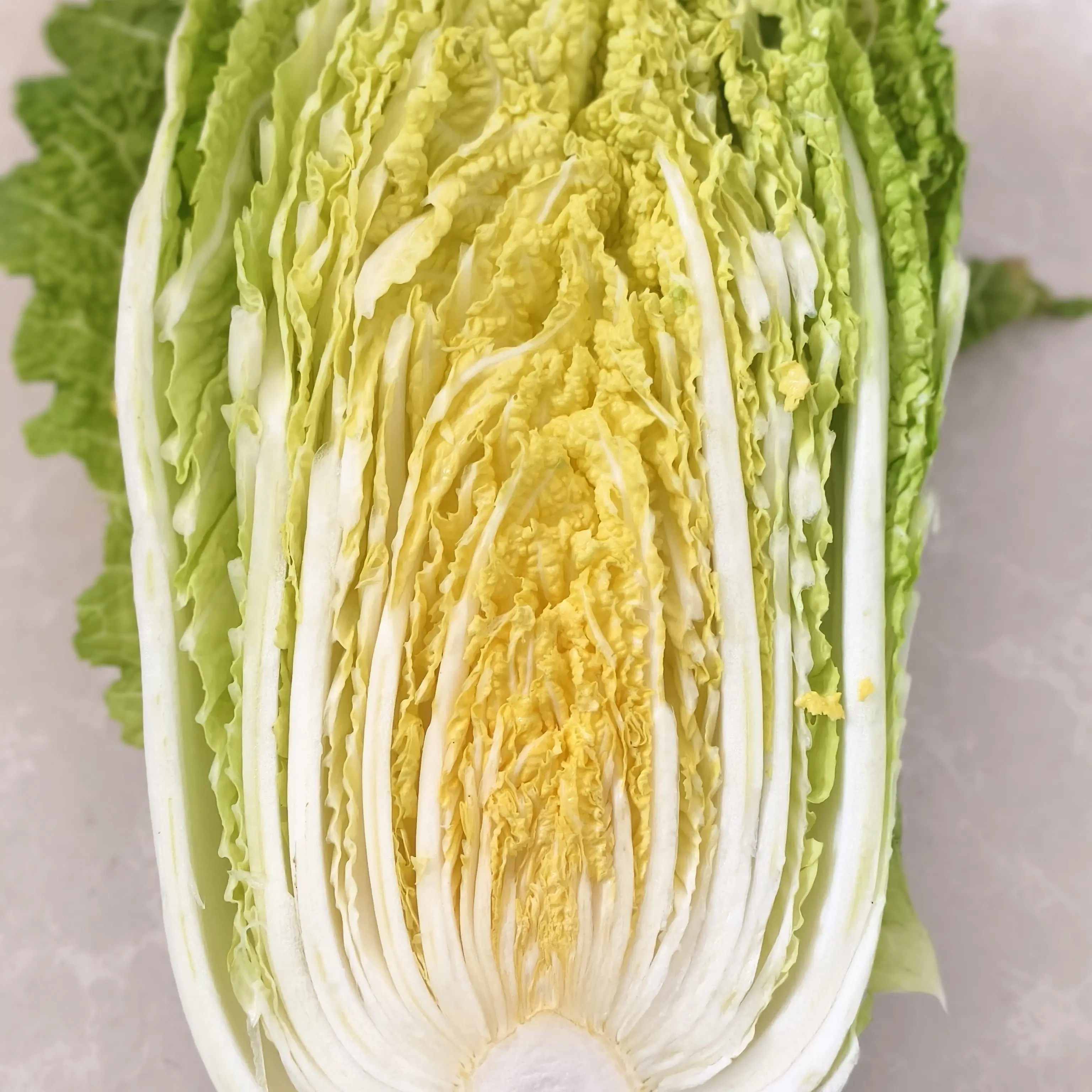 霜后露天种植大白菜口感脆甜适合炒吃腌菜的新鲜蔬菜