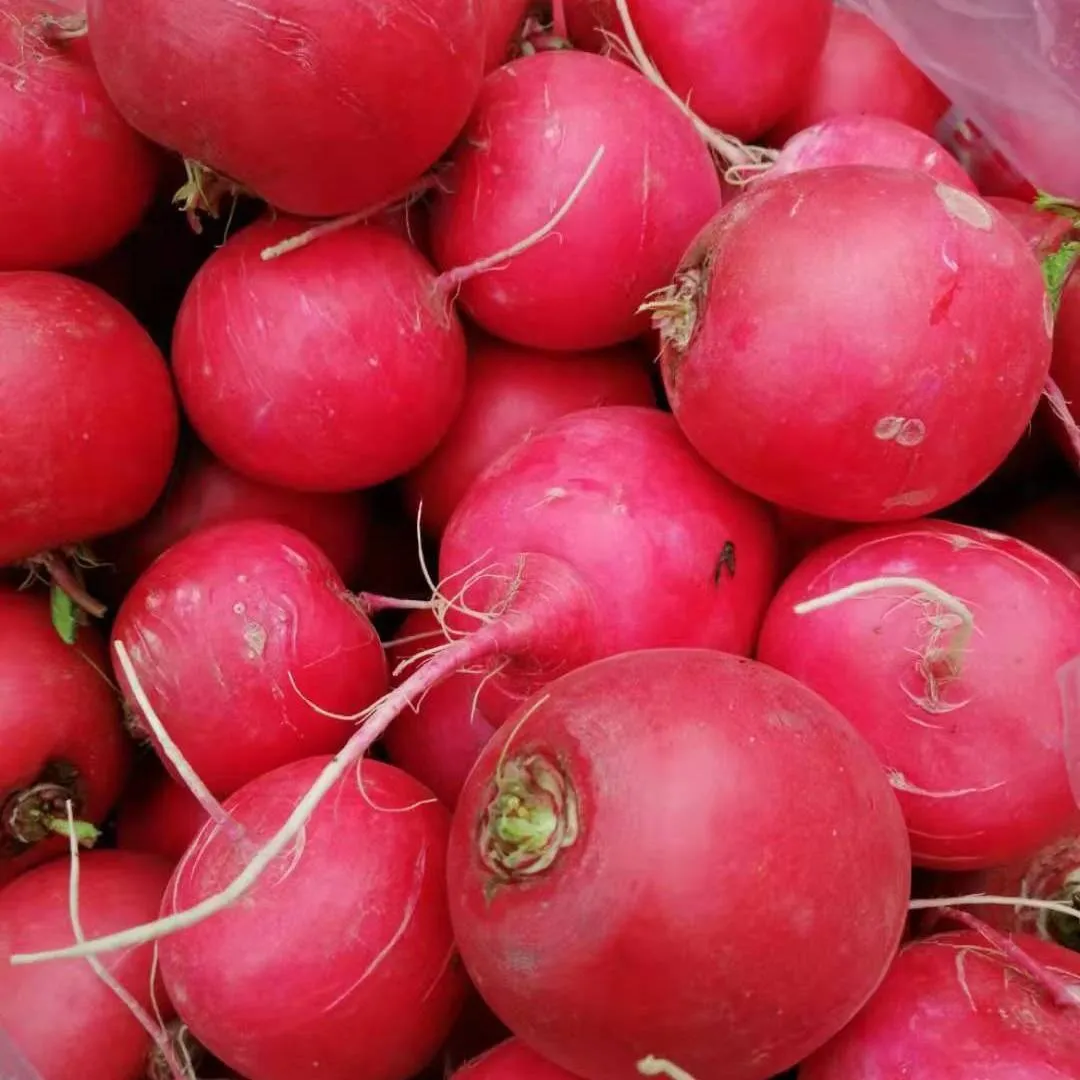 湖南常德新鲜农家自种小红萝卜现拔现发白心红萝卜 助农