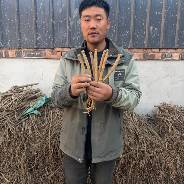 甘肃高海拔党参煲汤泡水煮水新鲜吃更美味500克，包邮无任何添加