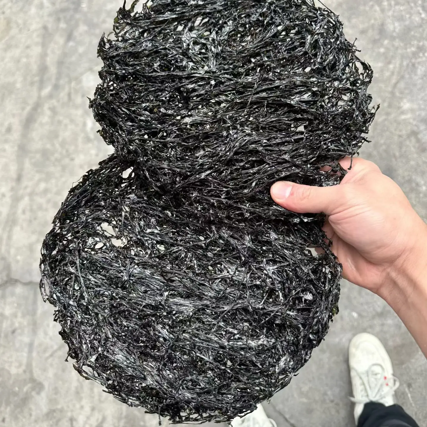 南澳岛特产无沙免洗头水紫菜烘250g500g包邮