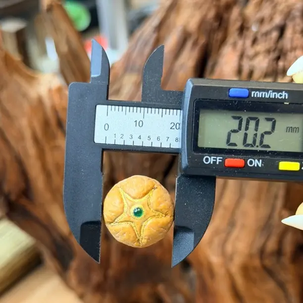 精品五星珠形端正皮壳密度好20mm