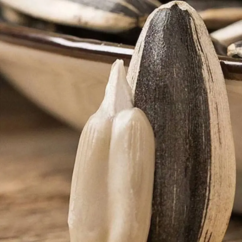 生瓜子原味葵花籽内蒙古鄂尔多斯原产地直供批发抖音瓜子批发特大