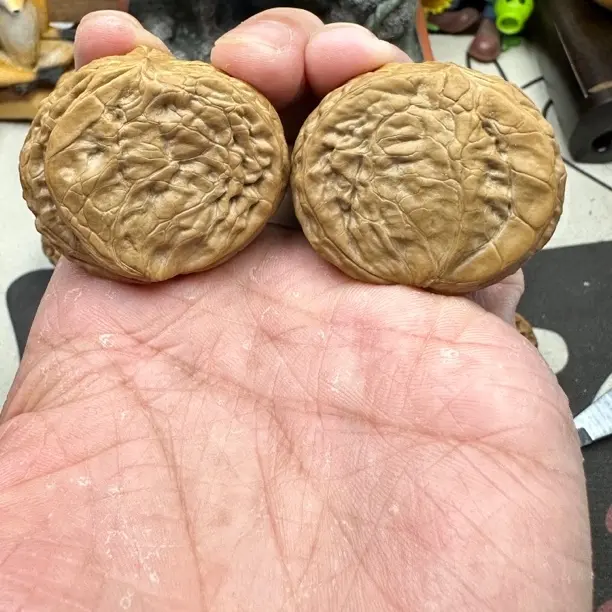 文玩核桃全品半壁铁锤，肚42高35