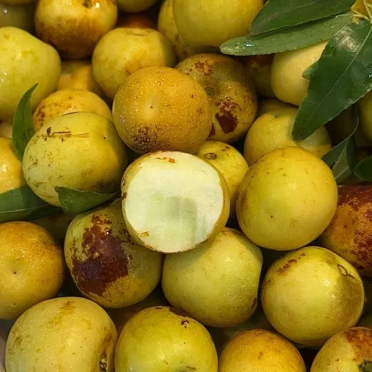 冬枣•脆甜爽口•3斤一件