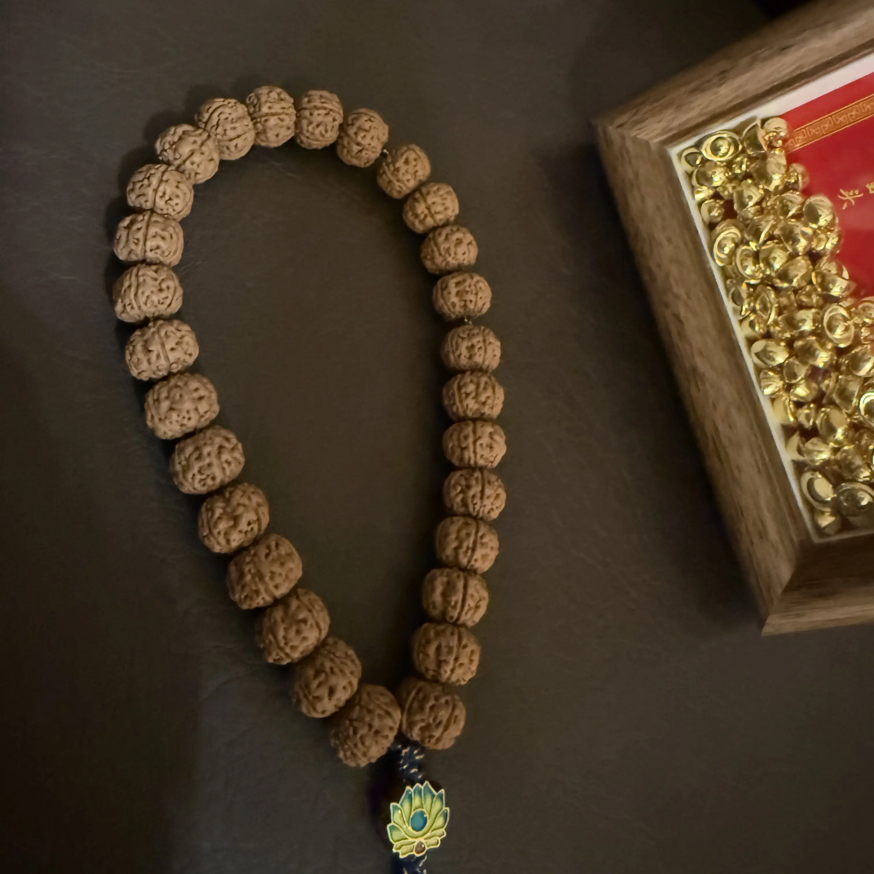 【坤山】毕业级 头货老树王小金刚12