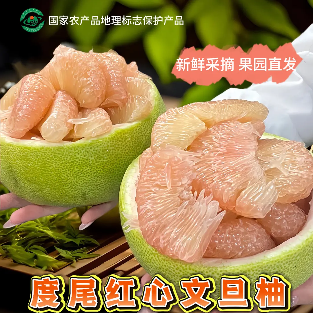 福建度尾文旦柚有孔好果坏果包赔现采现摘