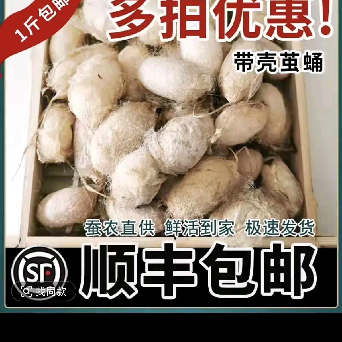 东北特产带壳蚕蛹大茧现吃现开顺丰包邮