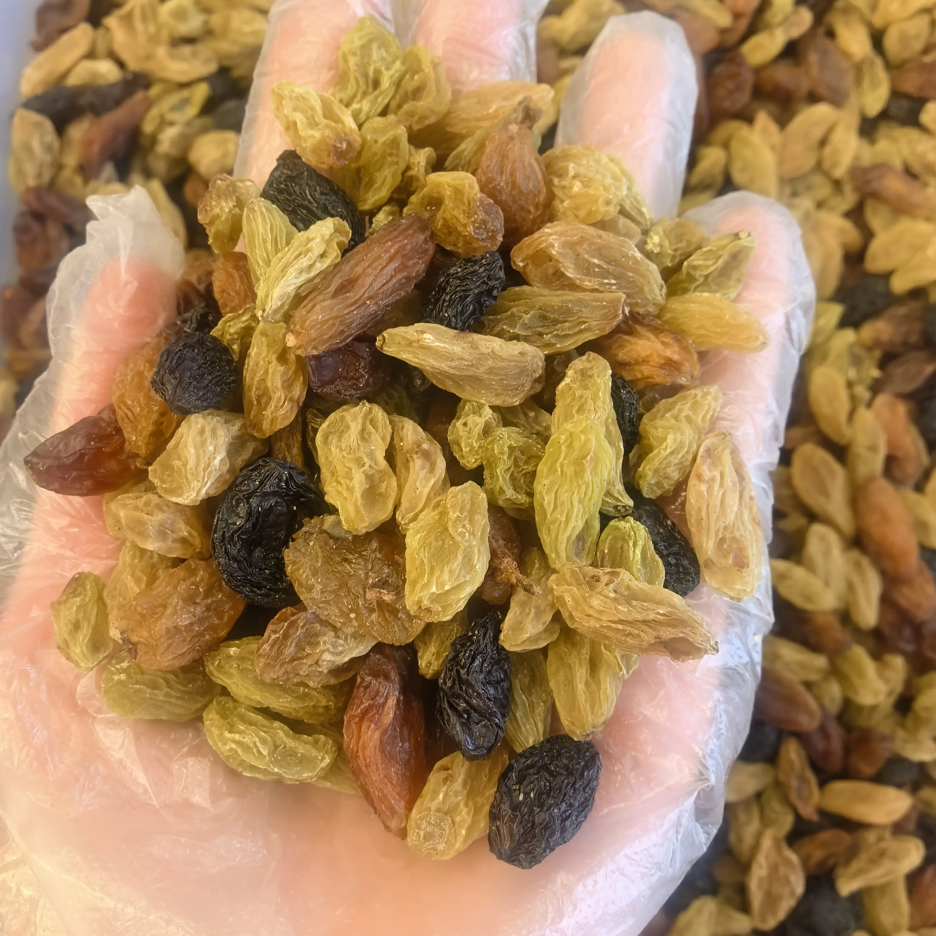 新疆特产三色大颗粒葡萄干休闲零食免清洗果香十足