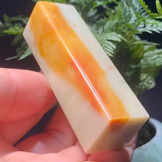 寿山石。寿山彩虹松柏岭品种章