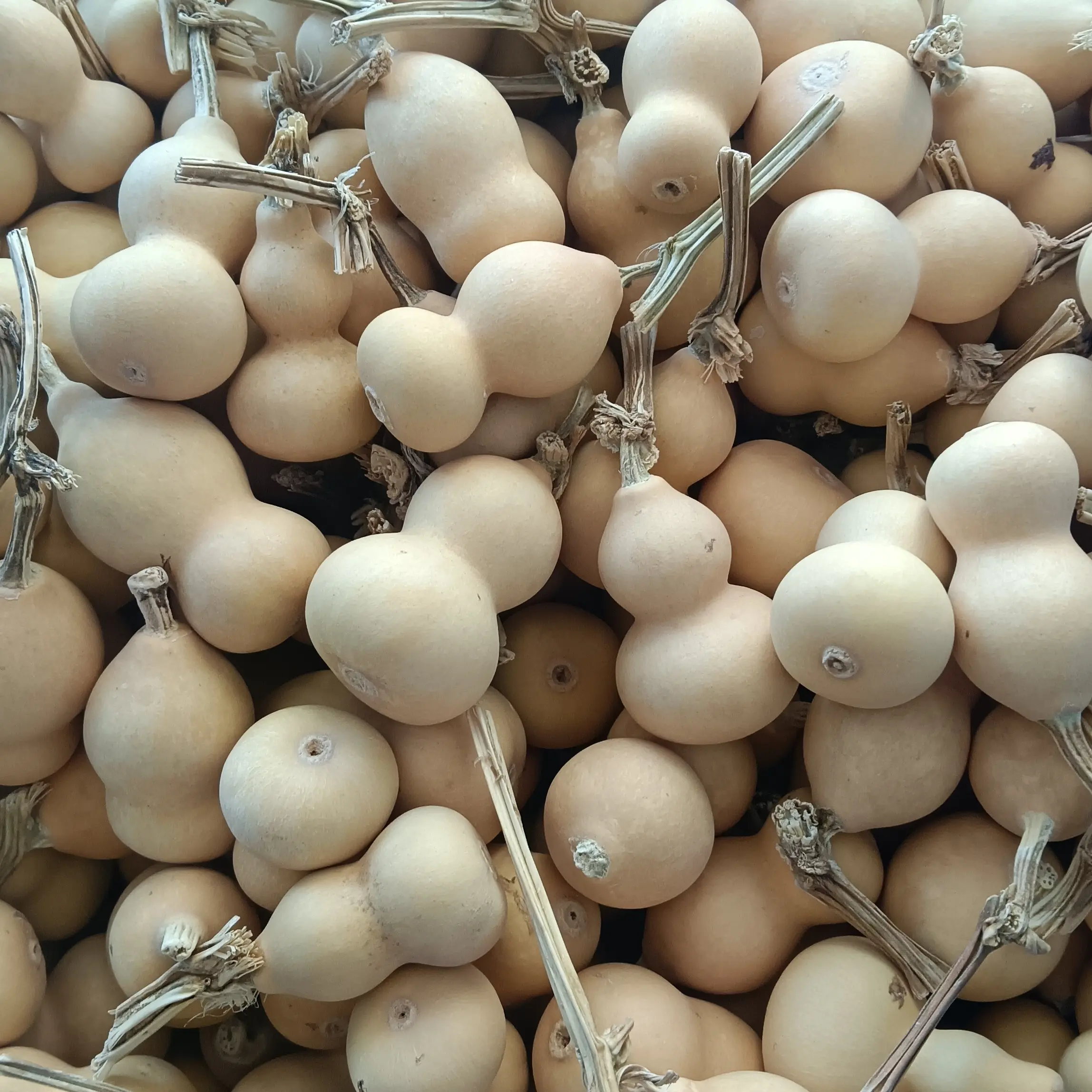 天然葫芦手把件直播间选购不包邮