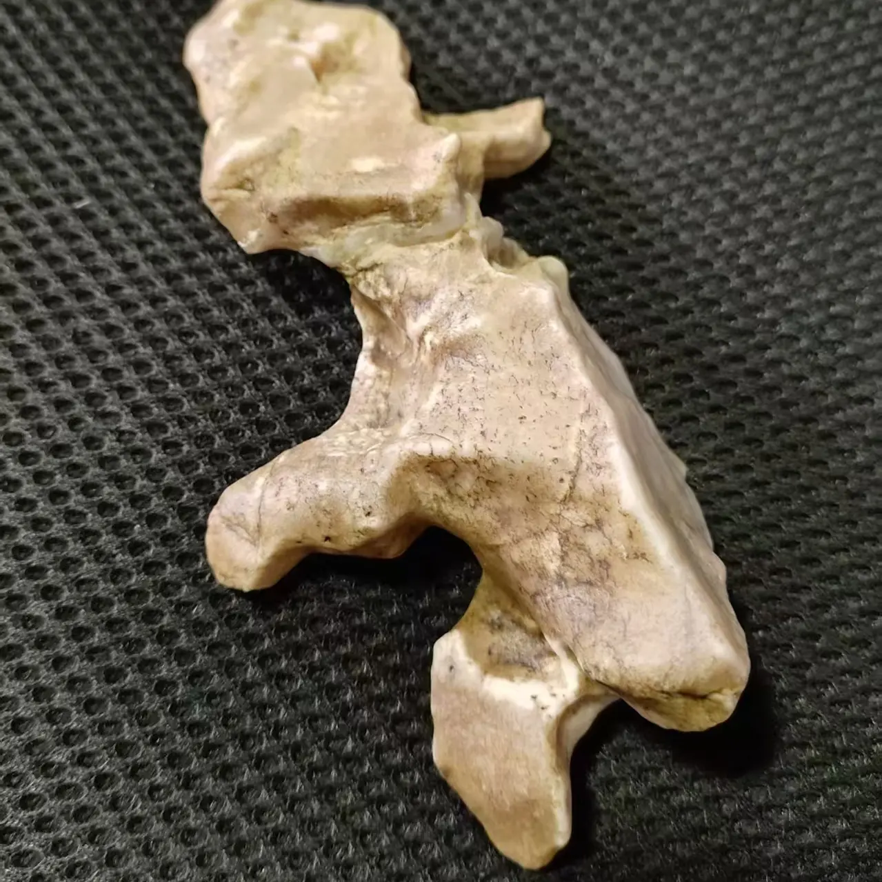 新疆戈壁石50专拍（以直播间实物为准）