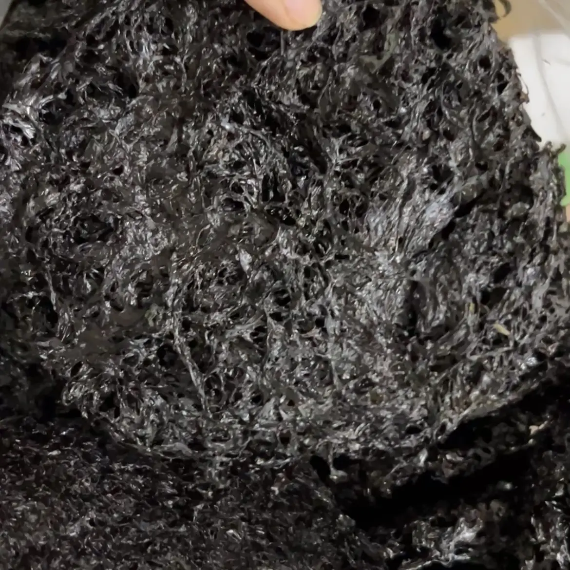 精选头水新紫菜鲜甜